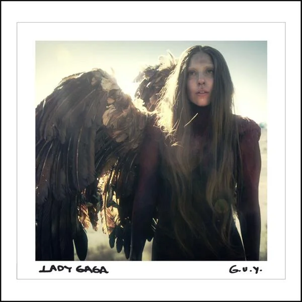 Lady Gaga: Biografia E Storia Da Born This Way A Cheek To Cheek | Seconda Parte 11 G.u.y.