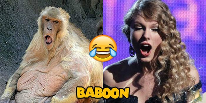 Taylor_Swift_Animals_02Dddd