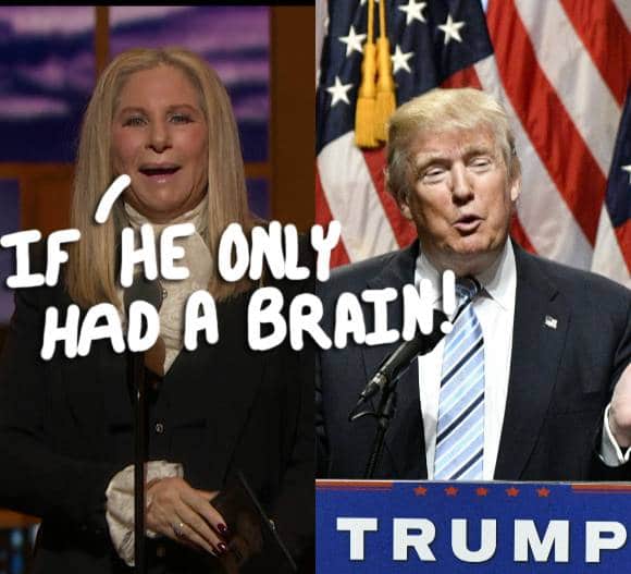 Barbra-Donald-Concert-1__Opt
