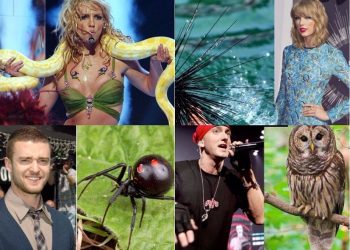 10 Cantanti E Le Loro Fobie, Da Britney Spears A Madonna, Di Cosa Hanno Paura. 2 Fobie Cantanti