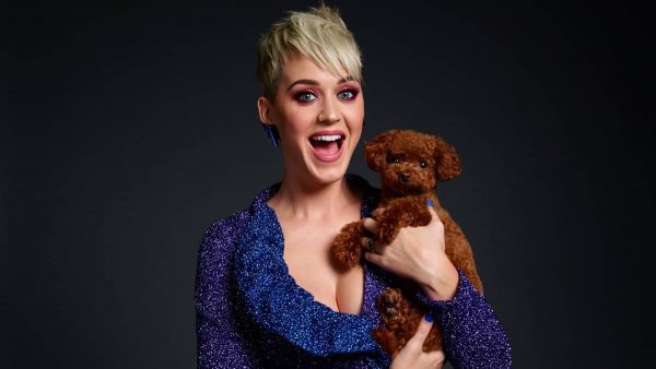 Katy Nugget