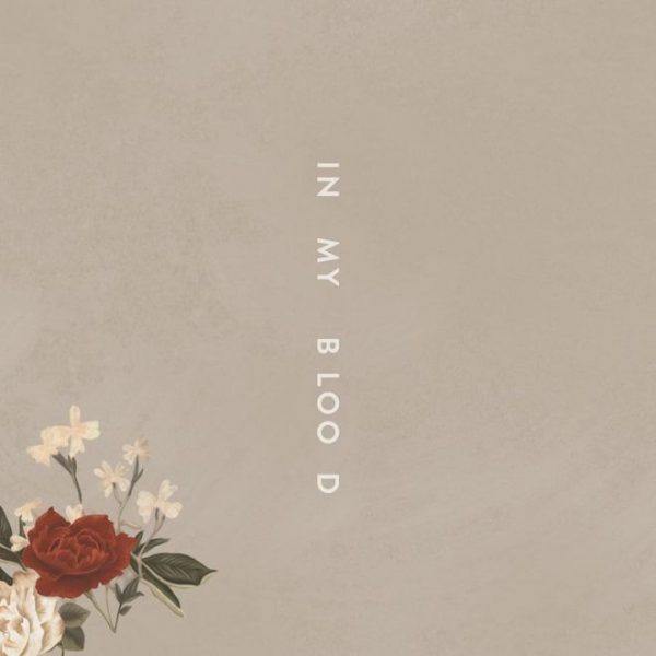 Traduzione Testo In My Blood Shawn Mendes