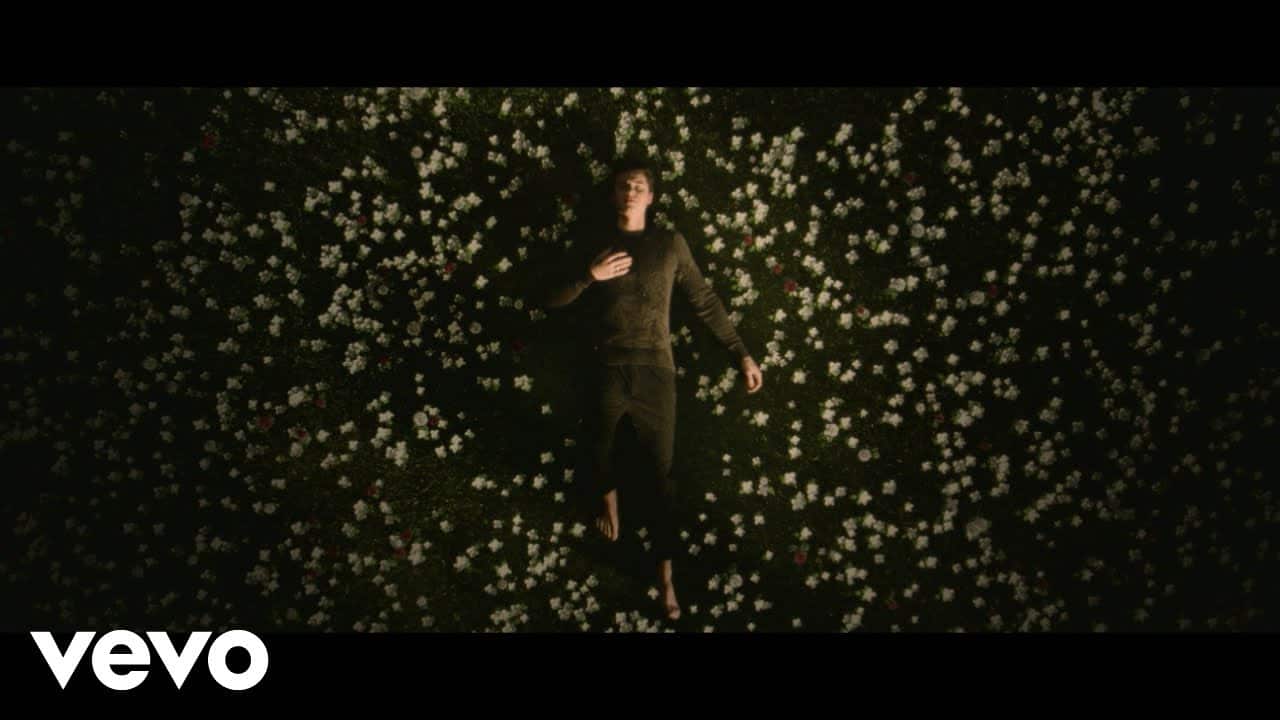 Shawn Mendes svelate uscita, copertina e tracklist ufficiali del nuovo