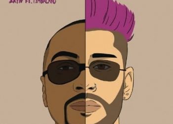 Zayn Feat. Timbaland, Eccol Il Nuovo Singolo Too Much