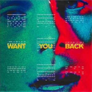 5 Seconds Of Summer Want You Back