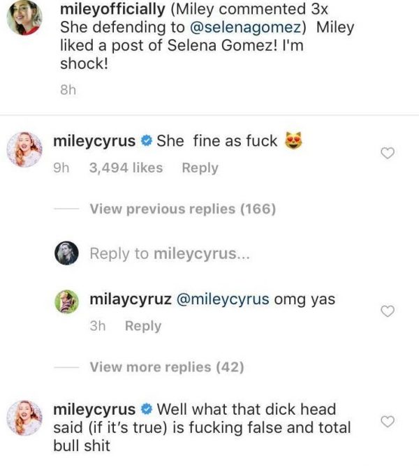 Miley Cyrus Stefano Gabbana