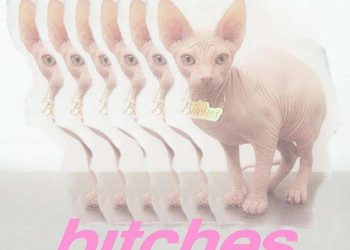 Traduzione Testo Bitches – Tove Lo Ft. Charli Xcx, Icona Pop, Elliphant E Alma