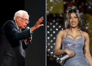 Cardi Bernie