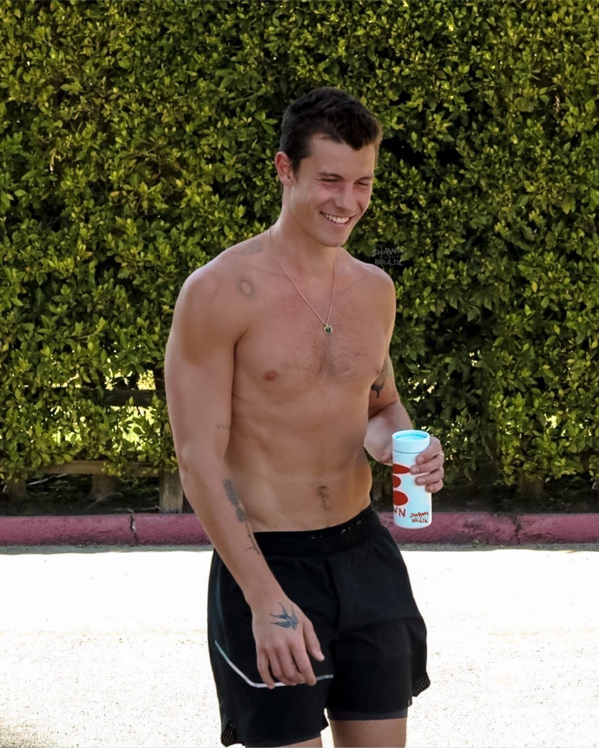 Shawn Mendes A Petto Nudo Mostra Il Fisico Manda In Tilt I Social 2 Petmns5