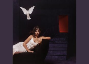 Nice To Meet You Pinkpantheress Central Cee: Traduzione Testo Significato